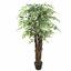 Albero artificiale Ficus 150 cm