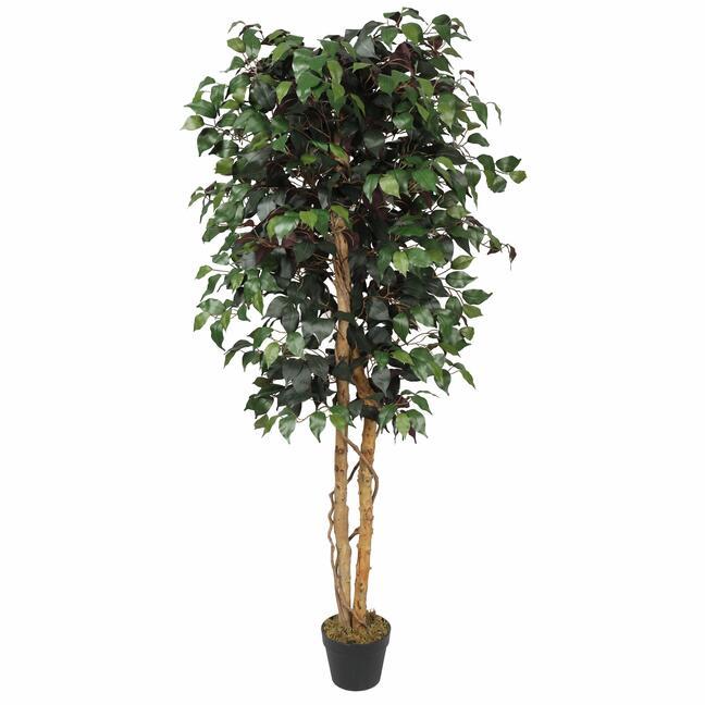 Albero Ficus Finto in Vaso, Pianta Artificiale Realistica, Vaso di Albero Ficus Finto in Vaso, Pianta Artificiale Realistica, Vaso di