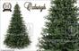 Albero di Natale artificiale Abete Nobilis Oxburgh 210 cm
