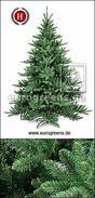 Albero di Natale artificiale Luvi Warwick 240 cm