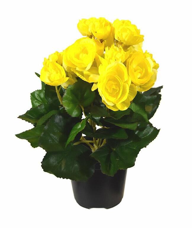 Pianta artificiale Begonia gialla 25 cm