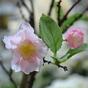 Bonsai artificiale Ciliegio 55 cm
