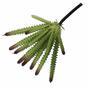 Cactus artificiale 21 cm
