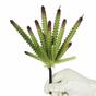 Cactus artificiale 21 cm