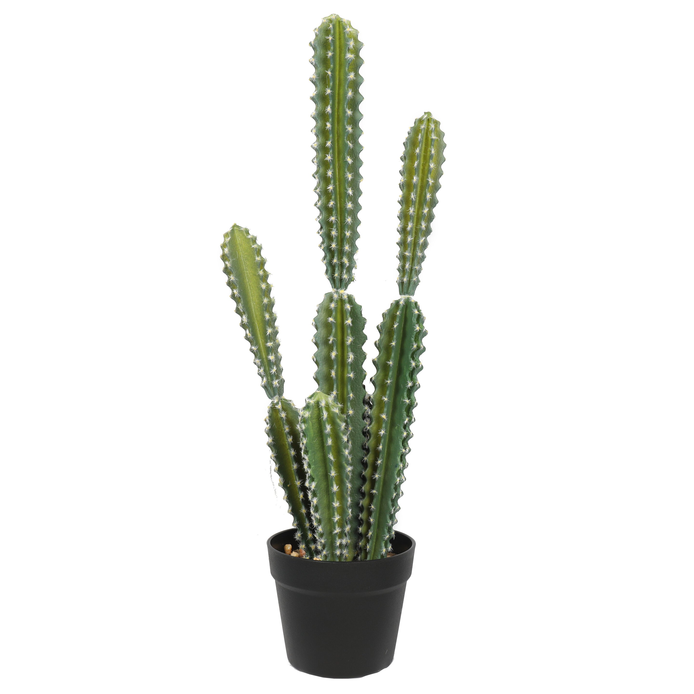 I cactus e le piante grasse artificiali più popolari
