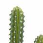 Cactus artificiale 69 cm