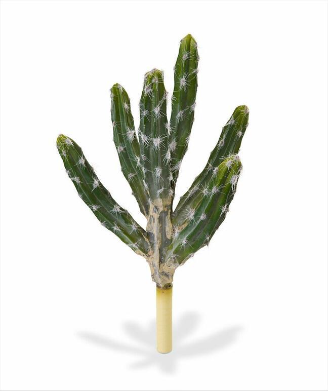 Cactus artificiale Tetragonus 35 cm