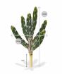 Cactus artificiale Tetragonus 35 cm