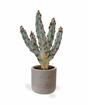 Cactus artificiale Tetragonus Brown 35 cm