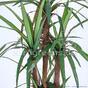 Dracena artificiale rivestita con 140 cm
