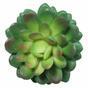 Echeveria Diamond 10 cm succulenta artificiale