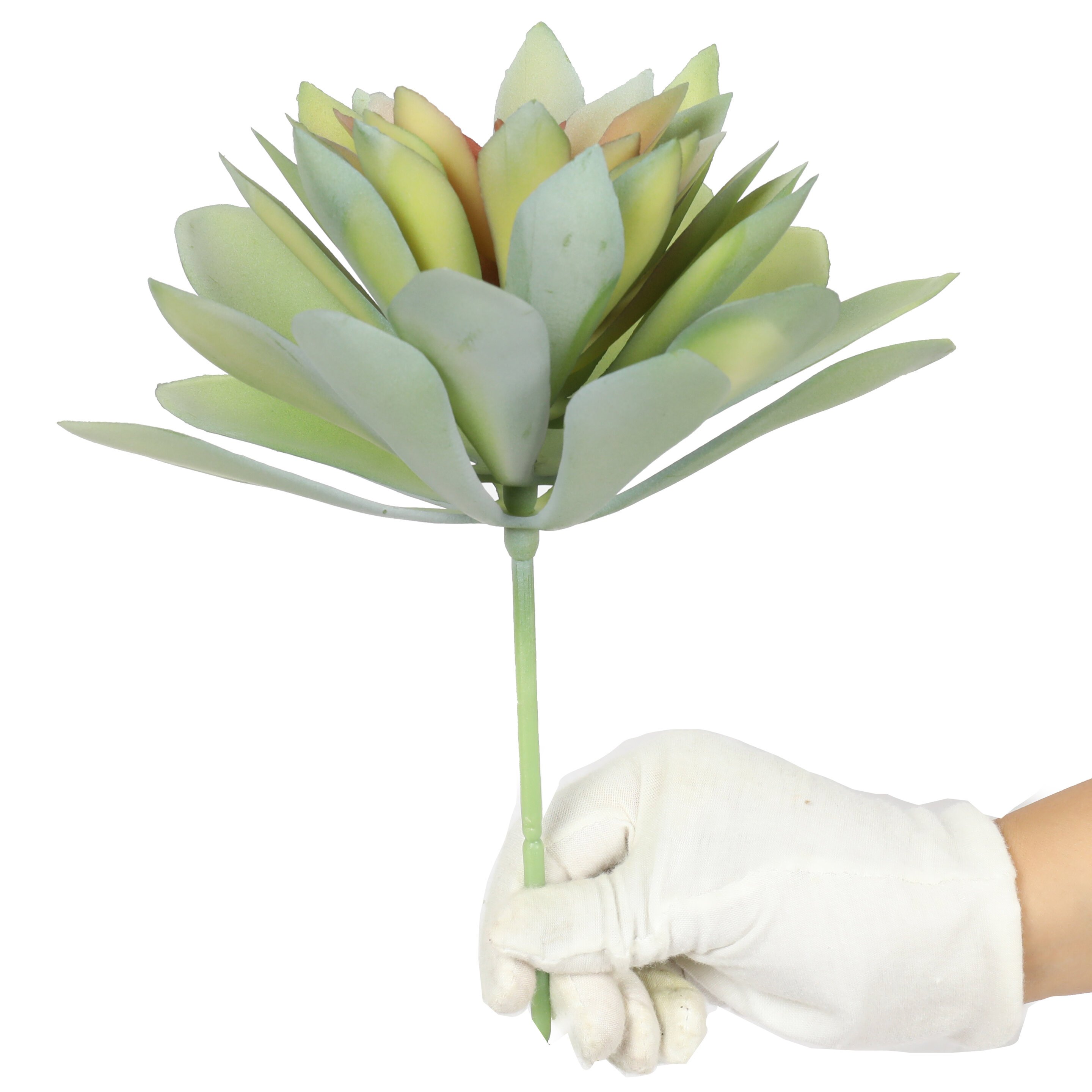 Echeveria succulenta artificiale 21 cm