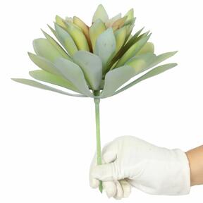 Echeveria succulenta artificiale 21 cm