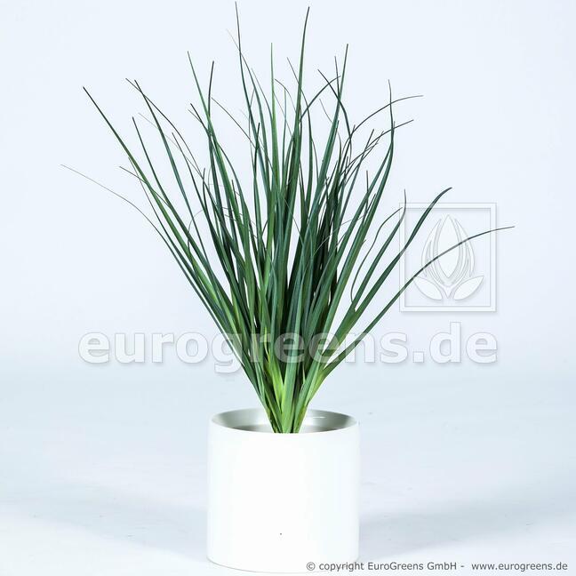 Fascio d'erba per scanalature artificiali Canna comune 55 cm
