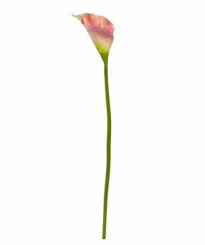 Fiore artificiale Kala rosa 55 cm