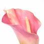 Fiore artificiale Kala rosa 55 cm