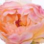 Fiore artificiale Peonia rosa 55 cm