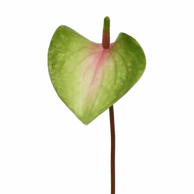 Foglia artificiale Anthurium rosa-verde 50 cm