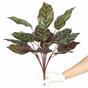 Kalatea pianta artificiale 50 cm