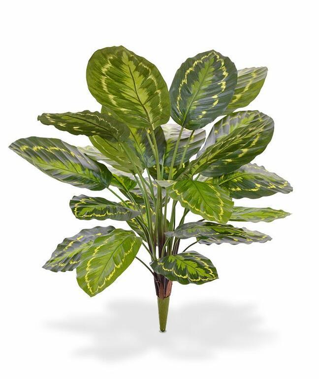 Kalatea pianta artificiale 65 cm