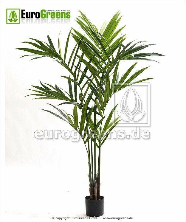 Kentia palma artificiale 170 cm