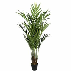 Kentia palma artificiale 180 cm