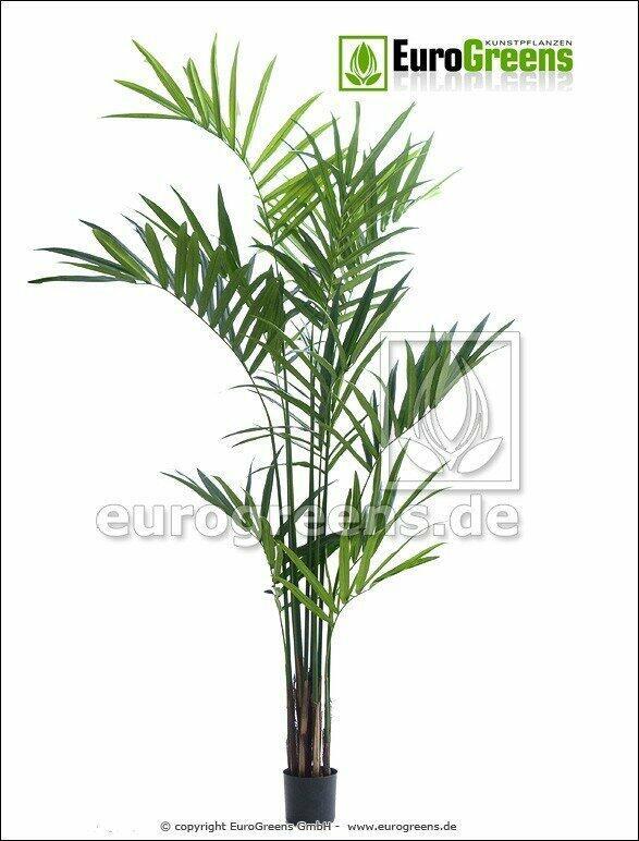 Kentia palma artificiale 240 cm