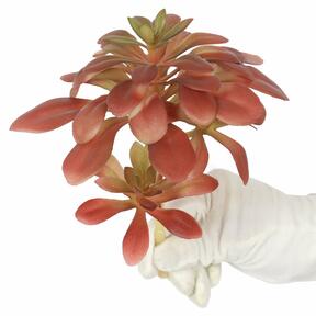 Loto artificiale succulenta 17 cm