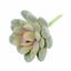 Loto succulento artificiale Eševéria Elegans 9,5 cm