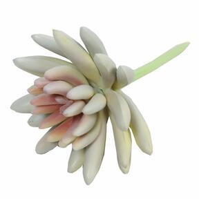 Loto succulento artificiale Esheveria bianco 10,5 cm