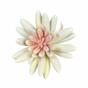 Loto succulento artificiale Esheveria bianco 10,5 cm