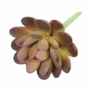 Loto succulento artificiale Graptopetalum 9,5 cm