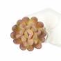Loto succulento artificiale Graptopetalum 9,5 cm