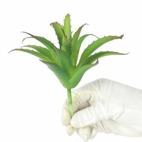Loto succulento artificiale verde 12 cm