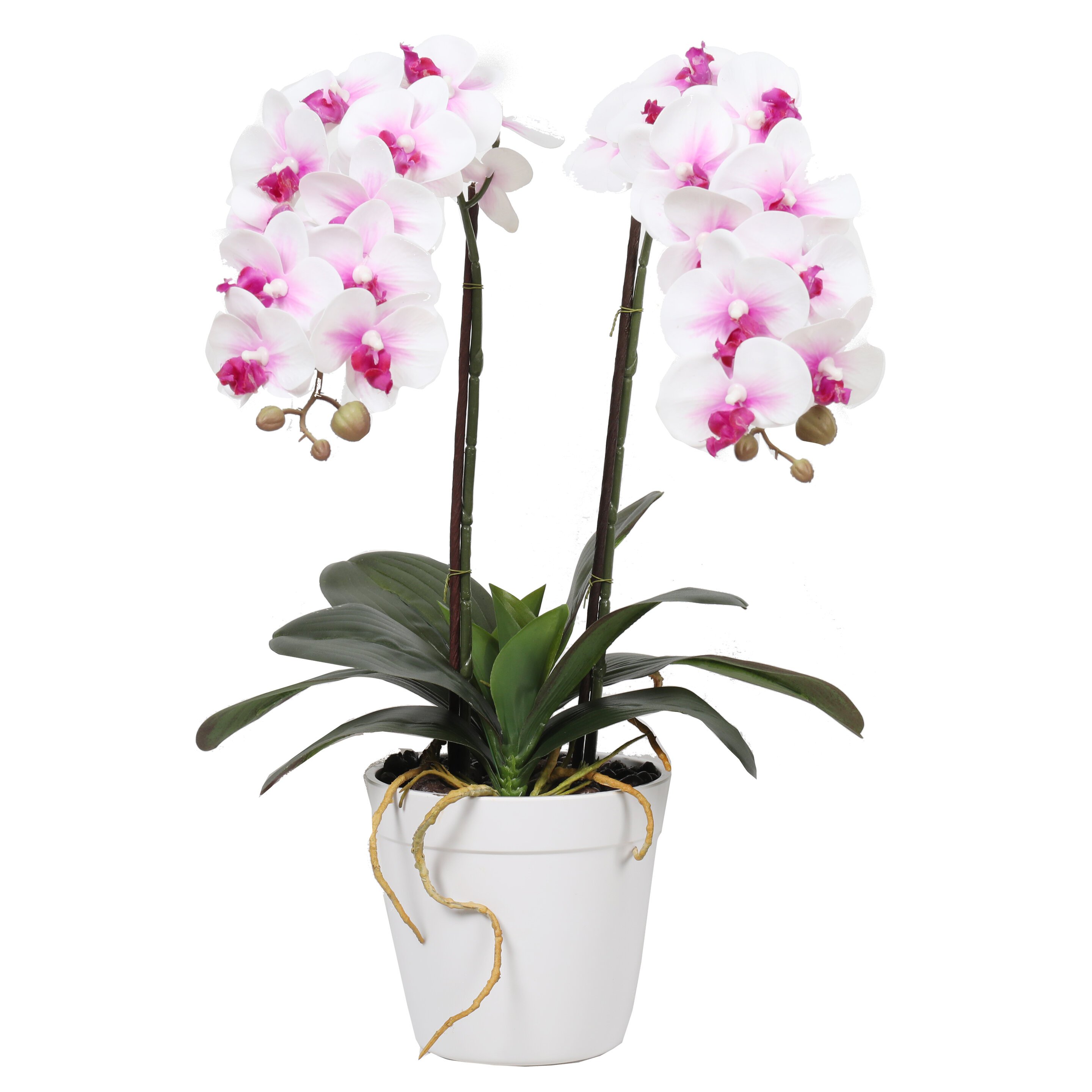 Orchidea artificiale bianca 65 cm