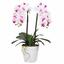 Orchidea artificiale 43 cm