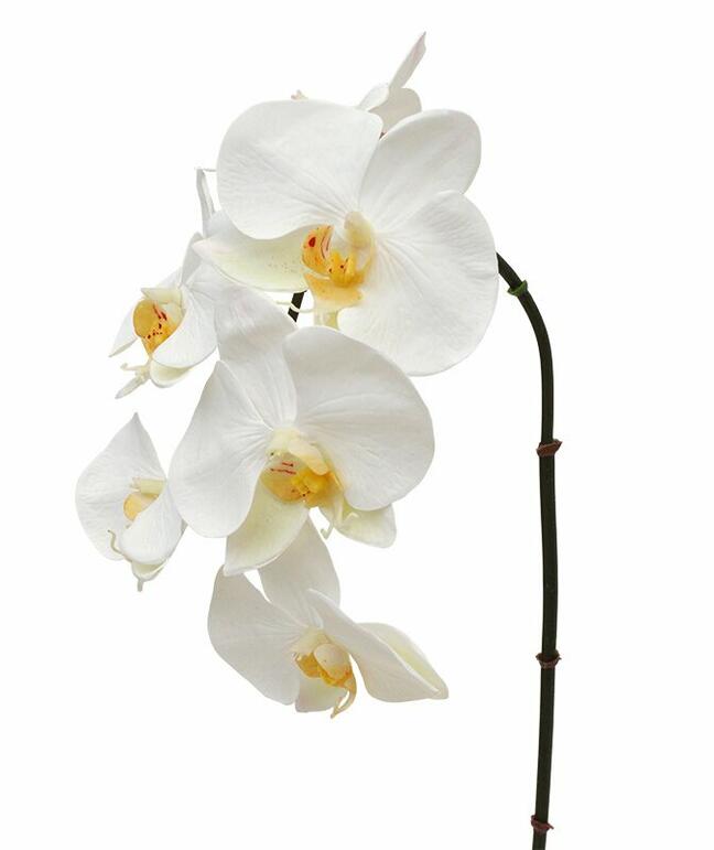 Orchidea artificiale bianca 55 cm