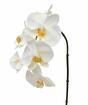 Orchidea artificiale bianca 55 cm