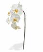 Orchidea artificiale bianca 55 cm