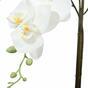 Orchidea artificiale bianca 65 cm