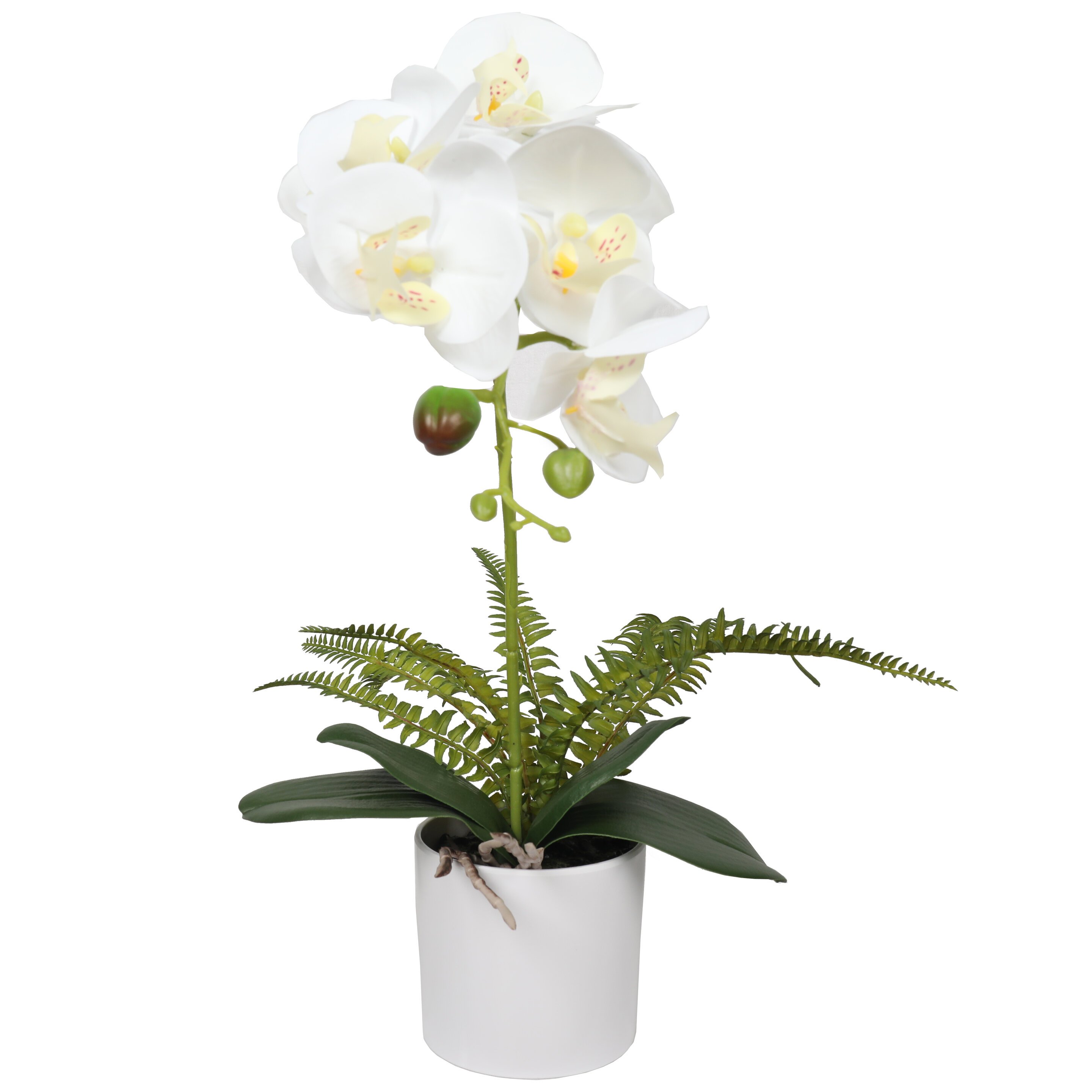 Orchidea Artificiale in Vaso d'Argilla H63 – Sia Deco