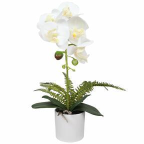 Orchidea artificiale bianca con felce 37 cm