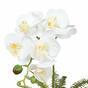 Orchidea artificiale bianca con felce 37 cm