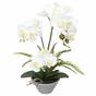 Orchidea artificiale bianca con felce 43 cm