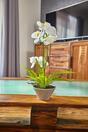 Orchidea artificiale bianca con felce 43 cm