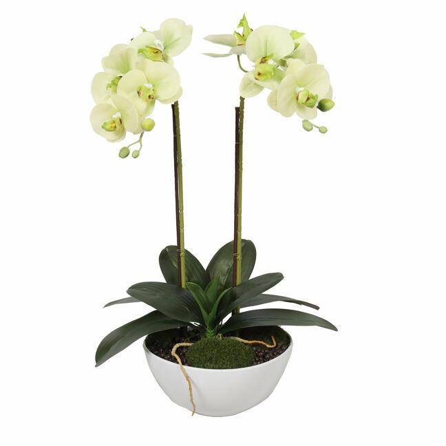 Orchidea burro artificiale 50 cm