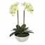 Orchidea burro artificiale 50 cm
