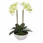 Orchidea burro artificiale 50 cm