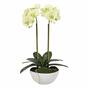 Orchidea burro artificiale 50 cm