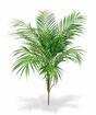 Palma artificiale Areca 80 cm